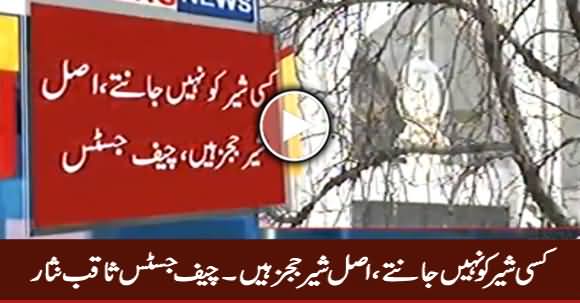 Kisi Sher Ko Nahi Jaante, Asal Sher Judges Hain - Chief Justice Saqib Nisar