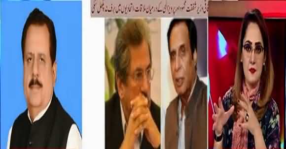Kya Baldiyat Elections Main PMLQ PTI Ka Saath Day Gi? Listen Tariq Basheer Cheema