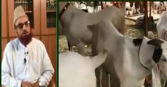 Kya Online Qurbani Ho Sakti Hai? Mufti Muneeb Ur Rehman Explains