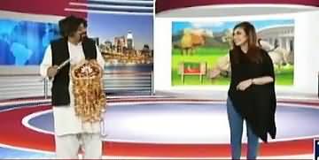 Kyun Kay Jamhuriat Hai (Comedy Show) - 10th November 2017