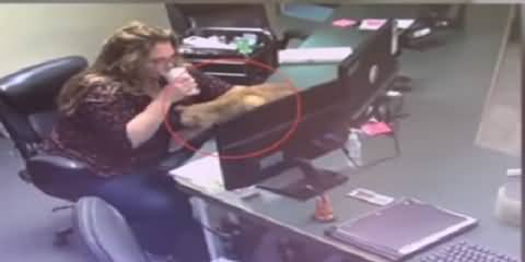 Lack of Attention By Woman, Sneaky Office Cat Spills Coffee On Her