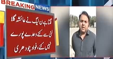 Lagta Hai PMLN Ne Ayesha Gulalai Se Kiye Gaye Waade Pure Nahi Kiye - Fawad Chaudhry