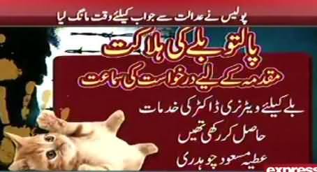 Lahore High Court Orders To Register Case Against Doctor on the Death of Pet Cat
