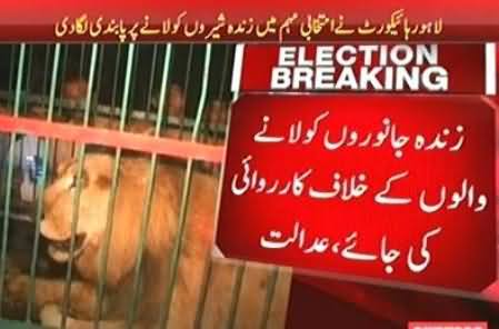 Lahore High Court Orders to Stop Use of Wild Animals in Election Campaigns