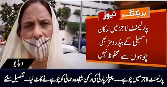 Large Number of Rats in Parliament Lodges, One Rat Bites PPP Shahida Rehmani