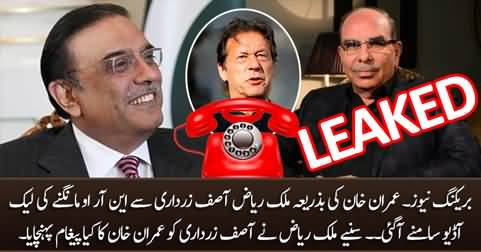 LEAKED Audio: Malik Riaz's call to Asif Zardari, conveying Imran Khan's message for NRO