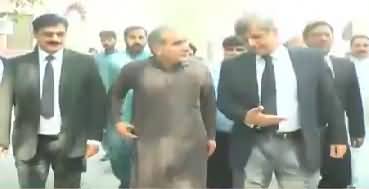 LHC approves Saad Rafique, Salman Rafique's protective bail