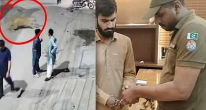 Lion owner arrested in Lahore after animal attack leaves 3 people injured