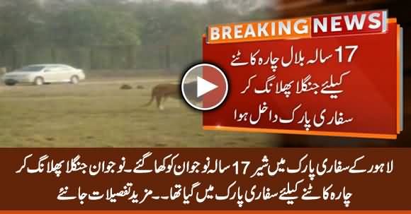 Lions Killed 17 Years Old Boy in Lahore's Safari Park