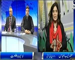 Live with Talat (Privatization of Institutions, Faida Mand Ya Nahi?) - 11th Janaury 2014