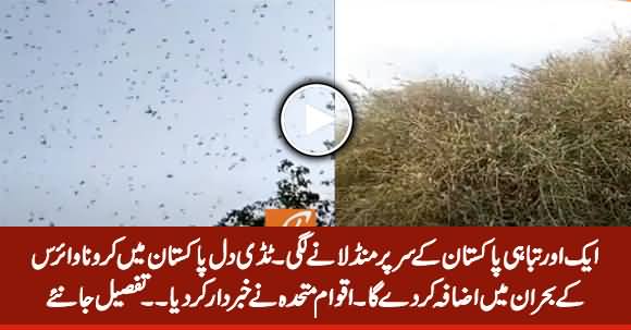 Locusts Attack Another Disaster in the Making - United Nations Warns Pakistan