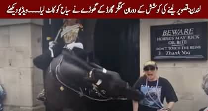 London: A tourist was bitten by a King's Guard horse while trying to take a picture