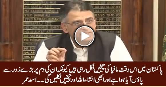 Mafia Is Crying Because We Have Tightened Noose Around Them - Asad Umar