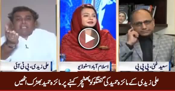 Maiza Hameed Got Angry When Ali Zaidi Called His Language 