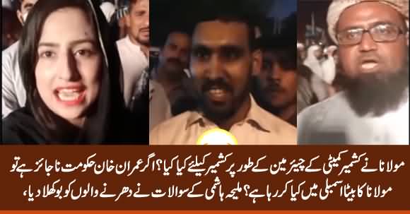 Maleeha Hashmi Exposed Dharna Participants With Her Brilliant Questions in Azadi March