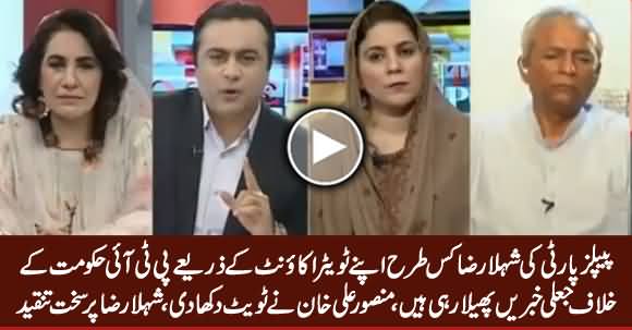 Mansoor Ali Khan Shows How PPP's Shehla Raza Spreading Fake News Against PTI Govt