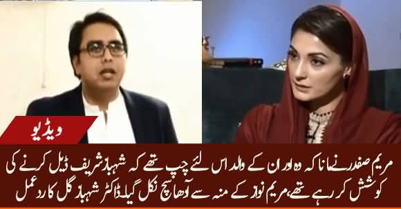 Maryam Nawaz Admits Half Truth About Deal, Other Half Still Left - Dr Shehbaz Gill Reaction
