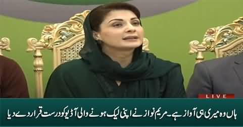 Maryam Nawaz admits that her leaked audio is genuine