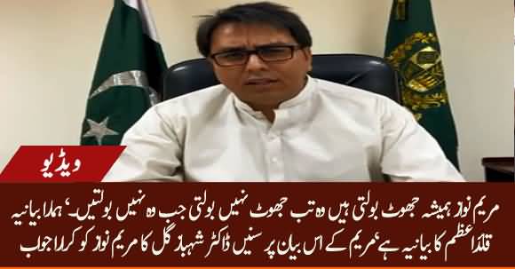 Maryam Nawaz Always Speaks Lies - Dr. Shahbaz Gill Befitting Reply on Maryam's Interview