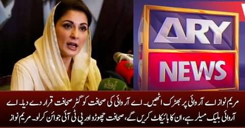 Maryam Nawaz bashes ARY News, calls ARY 