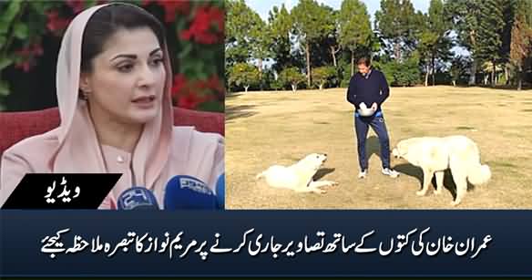 Maryam Nawaz Comments on PM Imran Khan's Pictures With His Dogs