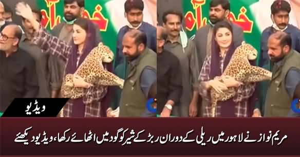 Maryam Nawaz Holding 