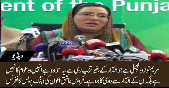 Maryam Nawaz Iktedar K Bagher Tarap Rahi Hai - Firdous Ashiq Awan Dabbang Return