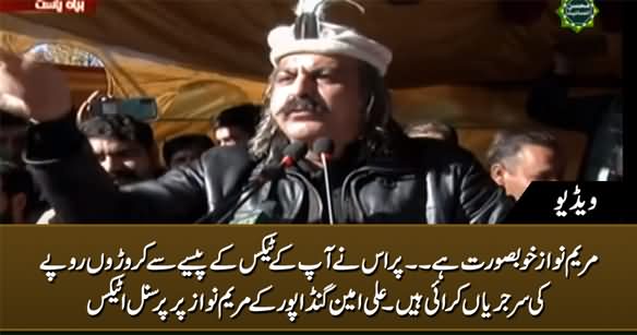 Maryam Nawaz Is Beautiful But.... Ali Amin Gandapur's Personal Attacks on Maryam Nawaz