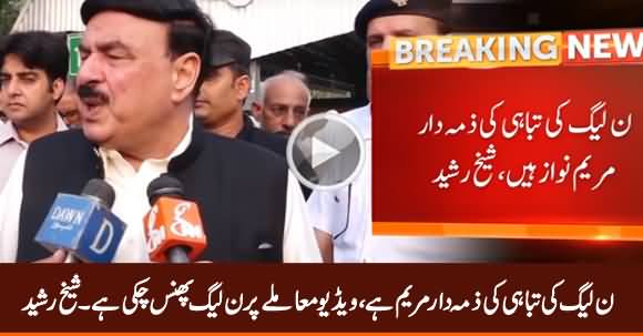 Maryam Nawaz Is Responsible For Destruction of PMLN - Sheikh Rasheed