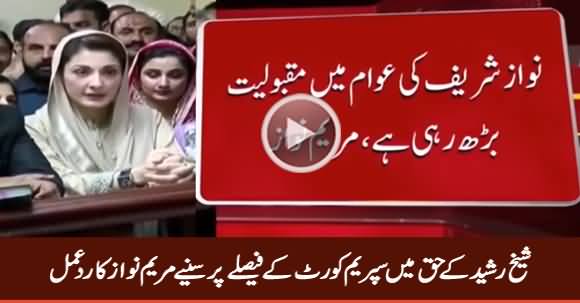 Maryam Nawaz Response on Supreme Court Verdict In Favour of Sheikh Rasheed