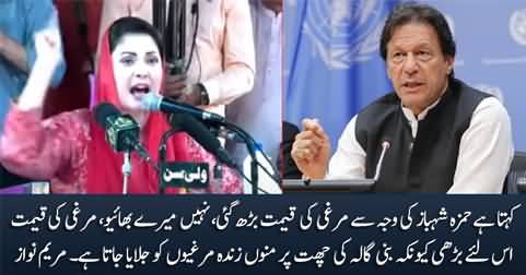 Maryam Nawaz's interesting reply to Imran Khan on why chicken price increased