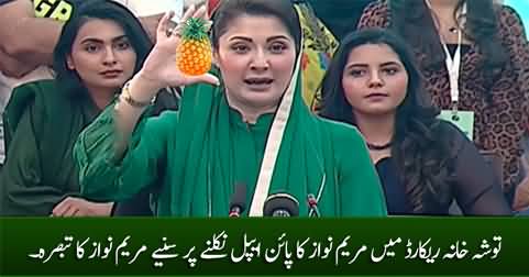 Maryam Nawaz's response for retaining pineapple from Tosha Khana