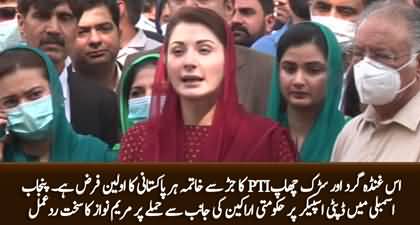 Maryam Nawaz's strong reaction on attack on deputy speaker Punjab Assembly, Calls PTI 'Sarak Chaap'