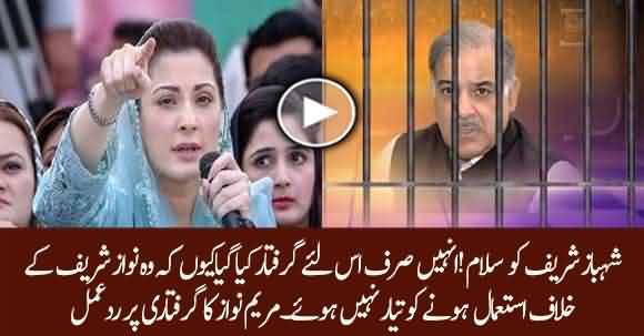 Maryam Nawaz Salutes Shehbaz Sharif After NAB Arrested Him