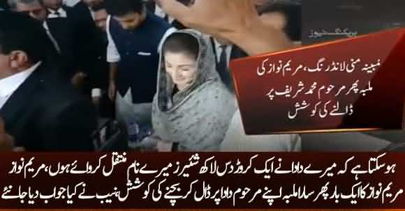 Maryam Nawaz Tried To Escape Form Corruption Cases, Involving His Grandfather