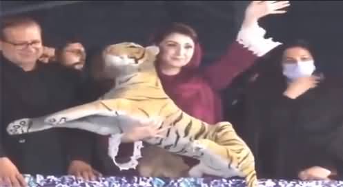 Maryam Nawaz With 