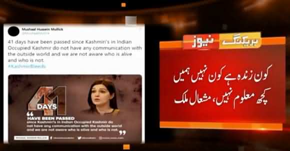 Mashaal Malik Tweets Regarding Situation Of Indian Occupied Kashmir