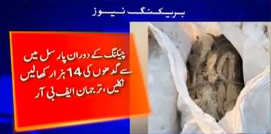 Massive Crackdown: 14,000 Donkey Skins Seized in Major Smuggling Operation