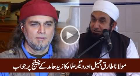 Maulana Tariq Jameel, Junaid Jamshed & Other Ulemas Reply To Zaid Hamid
