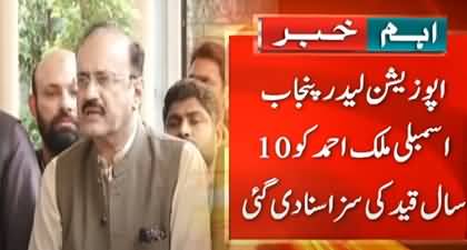 May 9 case: Punjab Assembly opposition leader Malik Ahmad sentenced to 10 years in jail
