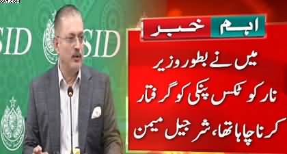Media shouldn't present Anmol Pinky as a celebrity - Sharjeel Memon