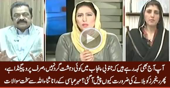 Mehar Abbasi Asks Tough Questions From Rana Sanaullah on Operation in Punjab