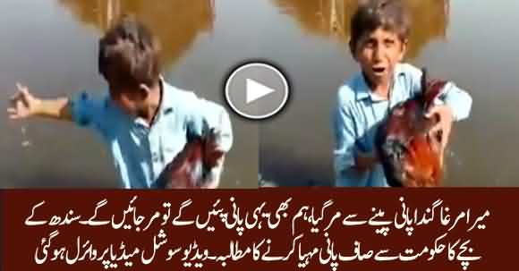 Mera Murgha Ganda Pani Penay Se Mar Gaya Hum Bhi Mer Jaen Gen - Sindhi Child Video Goes Viral