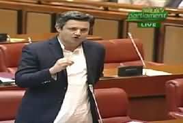 Minister of State For Revenue Hammad Azhar's Speech In Senate – 31st January 2019