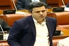 Minister of State For Revenue Hammad Azhar Speech in Senate – 29 January 2019