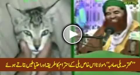 Mohtarma Billi Sahiba - Mualana Ilyas Qadri Giving Much Respect & Honour To This Special Cat