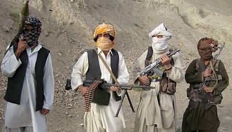 Monthly Income of Taliban is More than One Billion Fifteen Crore - Interior Ministry Report