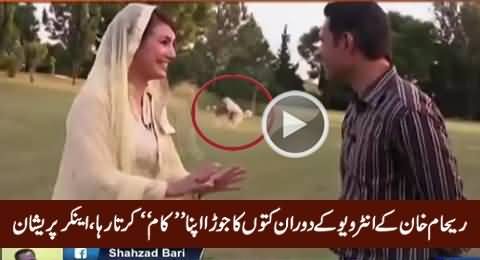 Most Embarrassing Moment While Anchor Was Recording Interview With Reham Khan