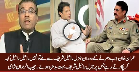 Mujeeb Shami Revealed What Imran Khan Called Gen Raheel When He Met Him During Dharna