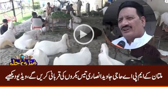 Multan: MPA Javed Ansari Will Sacrifice 30 Goats on Eid-ul-Azha